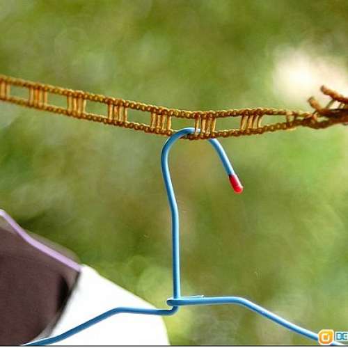 西德Steinheil Munchen Culminar 85mm f/2.8(改Nikon) 夠立體  散景靚  最近對焦0.6M