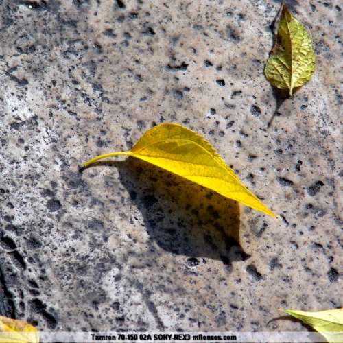 Tamron 70-150 f3.5(02A)高質恆定光圈微距變焦鏡 A7 Z6 EOS R  M10最啱用