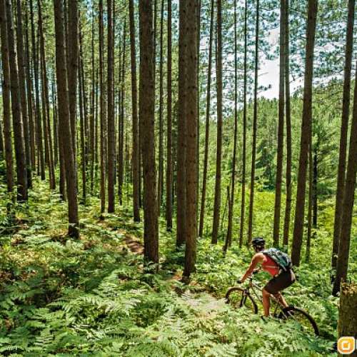 Olympus OM Zuiko 21/3.5(色靚銳利)世界最輕最細嘅玻璃廣角鏡SONY A7  Leica M11  ...