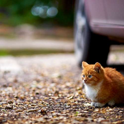 Minolta MD W.Rokkor 35mm f1.8特性不輸MC但又輕又細(95新)合富士GFX、Leica M10、...