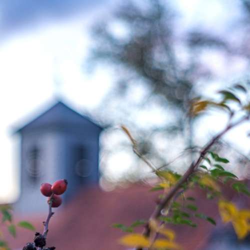 Carl Zeiss Dynarex 90mm F/3.4 ( 改Nikon) 西德蔡福  色靚 油潤  超强立體感  A7亦合