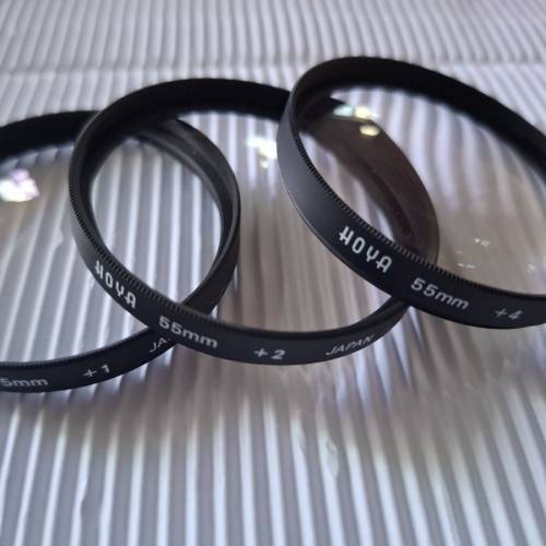 Sigma Dp2 dp-2 連 vf-11 and hood