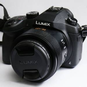 Panasonic Lumix FZ1000 1" sensor 25-400mm f2.8-4 Zoom 4k