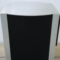 PIEGA High-End  P SUB 1 500W subwoofer