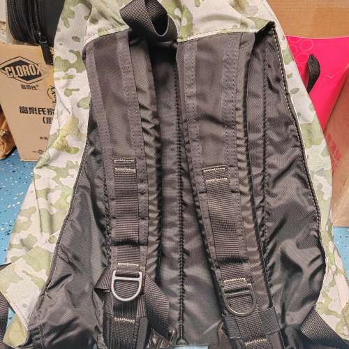 Gregory daypack 26L