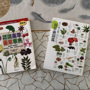 青草藥圖鑑+藥草事典