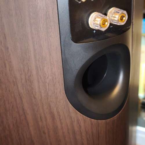 Philips Fidelio A9  AW9000 喇叭