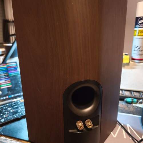 Philips Fidelio A9  AW9000 喇叭