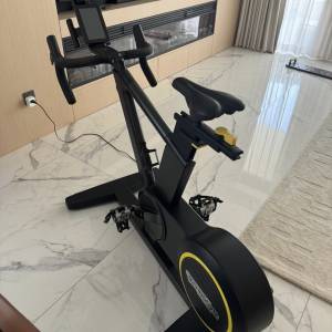Technogym SKILLBIKE