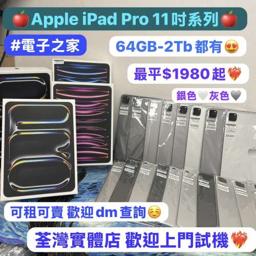 (🥰電子之家，超多靚iPad平板之家🥰）Apple iPad Pro 11吋 系列/M1,M2,M4/64,128,2...