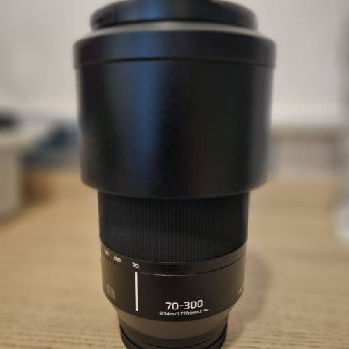 Panasonic S 70-300(或交換nikon z Lens)一