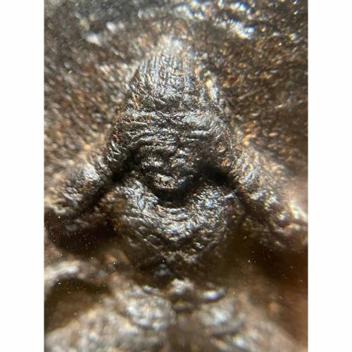 阿讚湯廳一期阿努曼必打