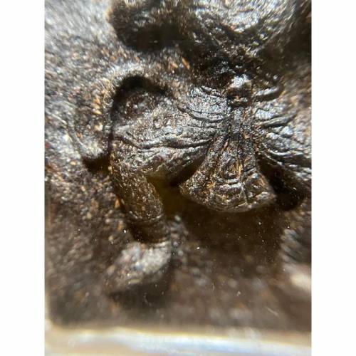 阿讚湯廳一期阿努曼必打