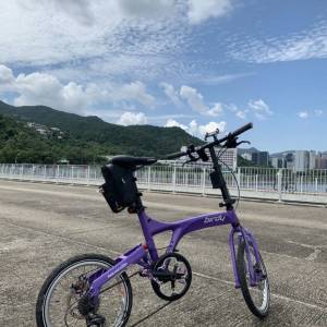 罕有紫色 ❗️ birdy 2代摺疊單車