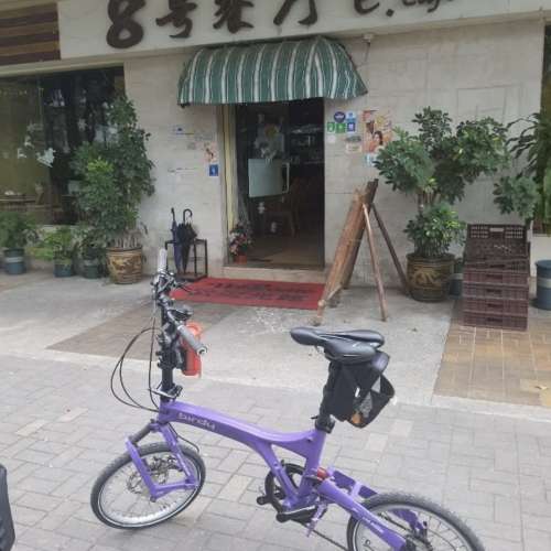 罕有紫色 ❗️ birdy 2代摺疊單車