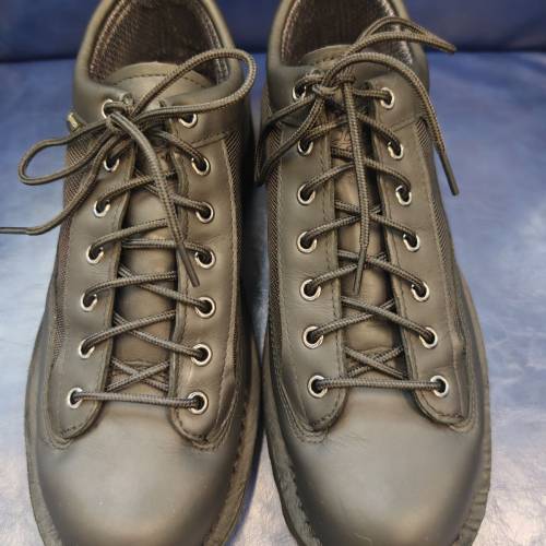 Danner Field Low (US 9.5)