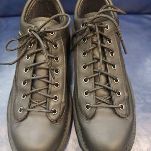 Danner Field Low (US 9.5)
