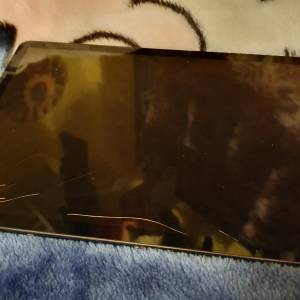 Samsung Tab S6 T865 128GB 屏幕內爆冇顯示 單機一部冇筆