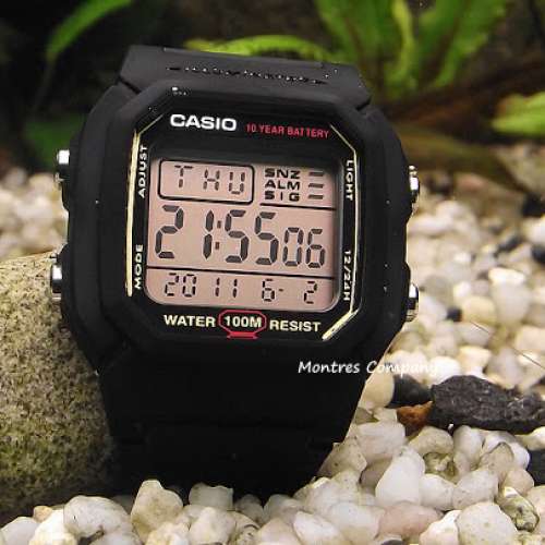 Montres Company 香港註冊公司(32年老店) 卡西歐 CASIO 十年電池壽命 金黑色 W-800...