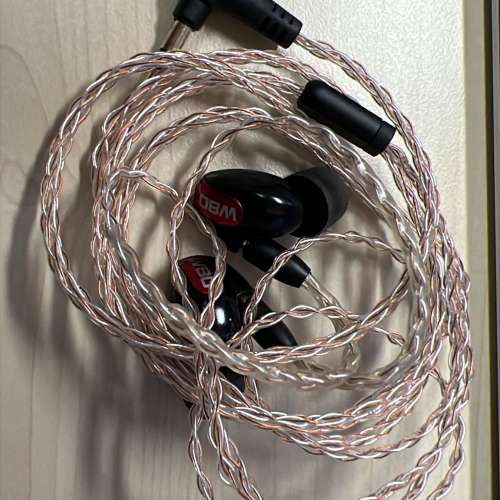 WESTONE W80