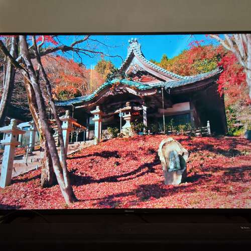 Hisense 43寸 4K HDR 智能電視