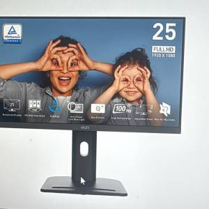 msi 24.5吋顯示器 PRO MP253