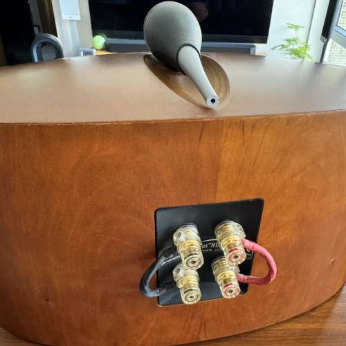 B&W Nautilus HTM2 中置喇叭