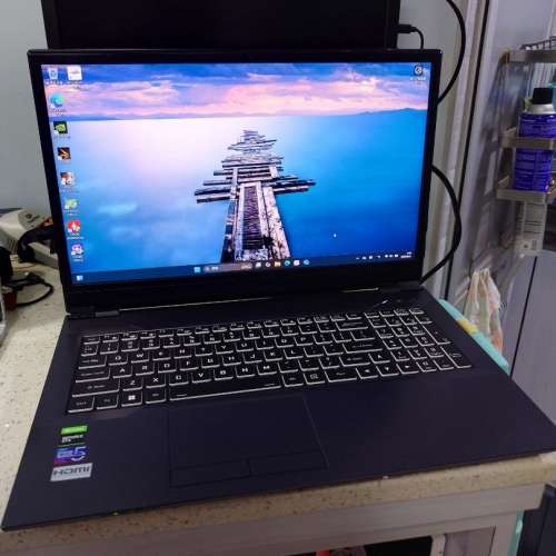 Clevo NB60TA Gaming Laptop i5 Gtx1650 附3電池