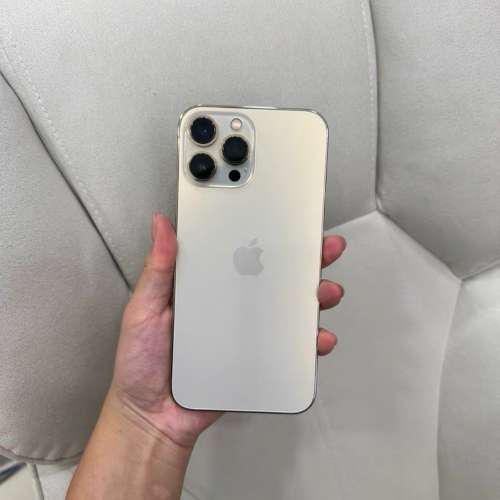 iPhone13 Por Max 1tb電池效能87 % ，跟一個全新原裝玻璃貼同埋一個手機套！