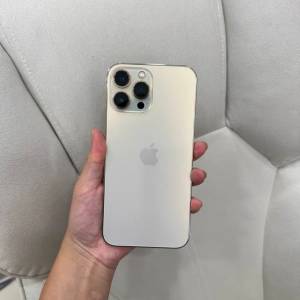 iPhone13 Por Max 1tb電池效能87 % ，跟一個全新原裝玻璃貼同埋一個手機套！
