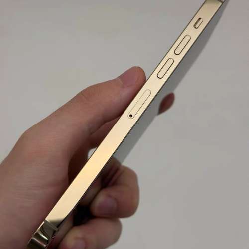 iPhone 13 Pro Max 1tb ，電池效能87 ％，使用原裝case 同貼mon貼