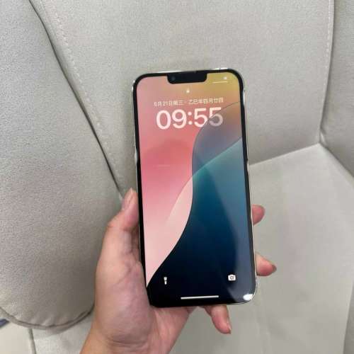 iPhone 13 Pro Max 1TB ，Battery 87 %