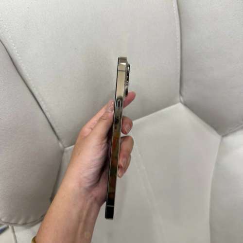 iPhone 13 Pro Max 1TB ，Battery 87 %