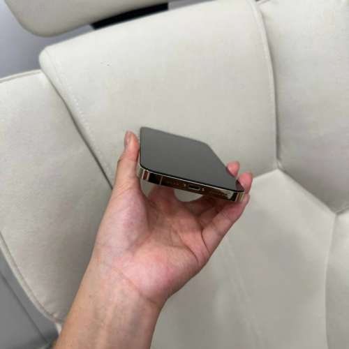 iPhone 13 Pro Max 1TB ，Battery 87 %