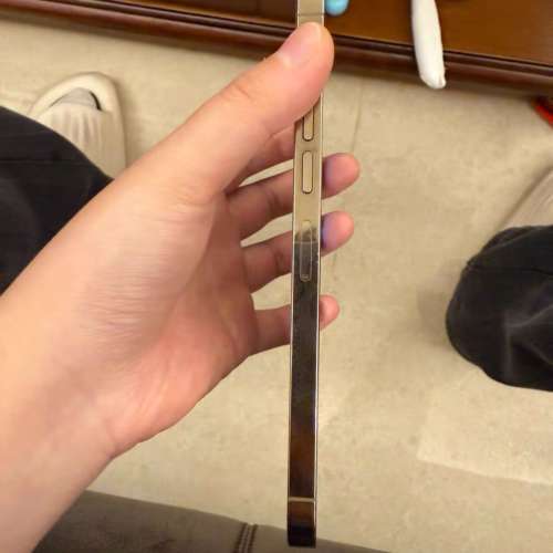 Apple iPhone 13 Pro Max 1TB， 6.7寸大螢幕，電池效能87 ％，功能全部正常運作，已...