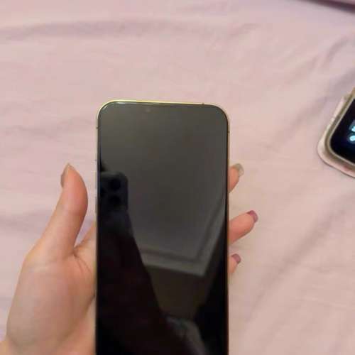 iPhone 13 Pro Max 1Tb ，電效能87 %，性能良好，另送一個全新機殼同MON貼。