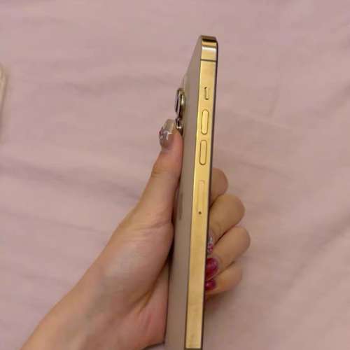 iPhone 13 Pro Max 1Tb ，電效能87 %，性能良好，另送一個全新機殼同MON貼。