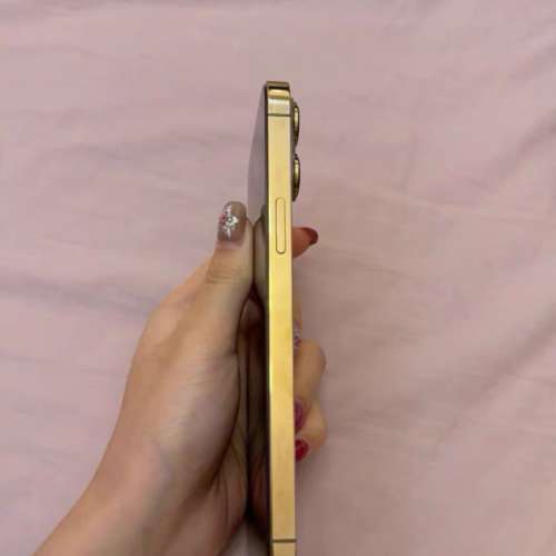 iPhone 13 Pro Max 1Tb ，電效能87 %，性能良好，另送一個全新機殼同MON貼。