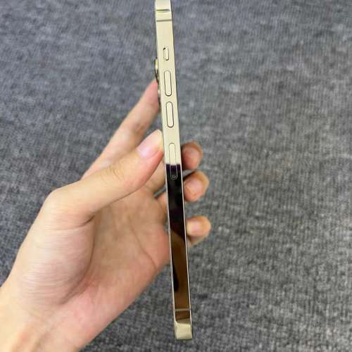 Apple iPhone 13Pro Max 1TB  ，98%新，電池效率88  %