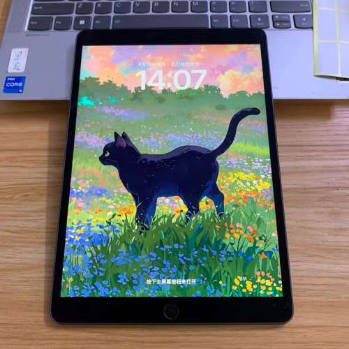 出二手自用閒置ipad Air 3 256 Wi-Fi 版