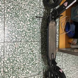 成人滑板車