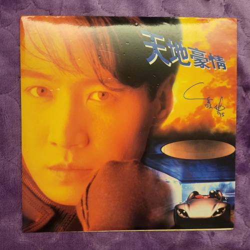 💥Laser Disc /鐳射影碟💥 8‘’ 天地豪情（劇情版）02054