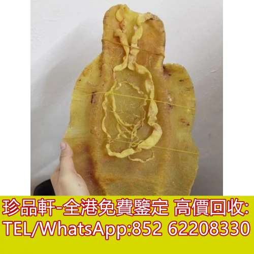 【珍品軒】全港回收花膠，金錢膠，湛江赤嘴，陽江赤嘴，老花膠，陳年花膠，北海膠，...