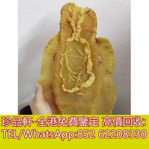 【珍品軒】全港回收花膠，金錢膠，湛江赤嘴，陽江赤嘴，老花膠，陳年花膠，北海膠，...