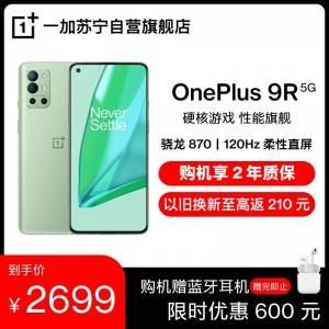 OnePlus 9R 12+256 頂配 97%新