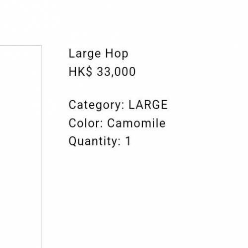 Bottega Veneta 二手手袋