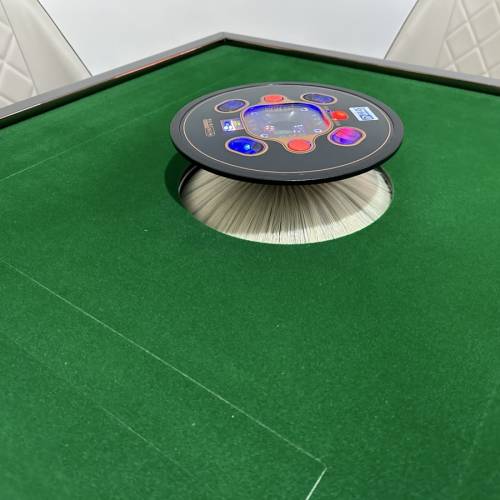 2副麻雀+枱板+電動麻雀枱