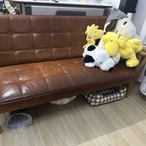 真皮梳化