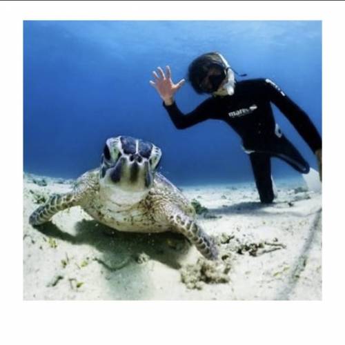 [租借］Insta360 X4 運動相機 旅行必備 Insta 360X4 浮潛 潛水 防水殼租相機 Insta...