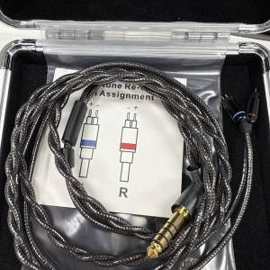 放 Acoustune ARC23 4.4 to 2 pin